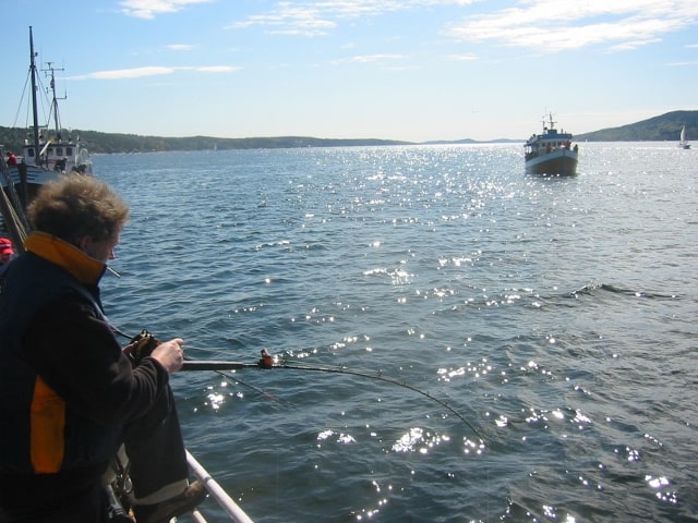 fiske fra båt i ski havfiskeklubb